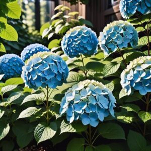 Zapobieganie chorobom podczas propagacji hortensji